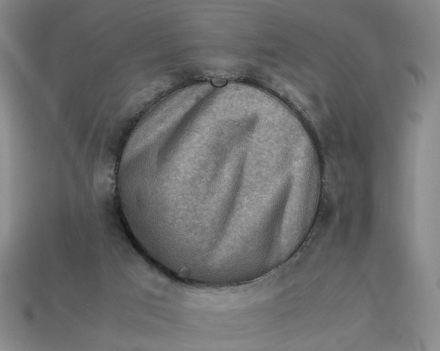 X0000113310017200910051114