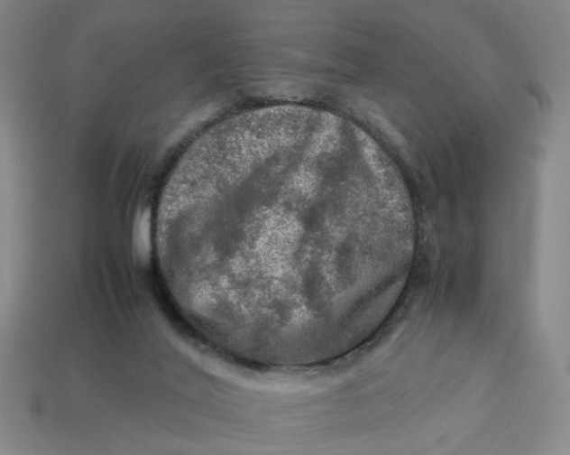 X0000113310020200910051114