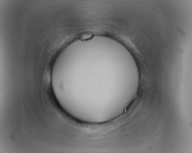 X0000113310021200910051114