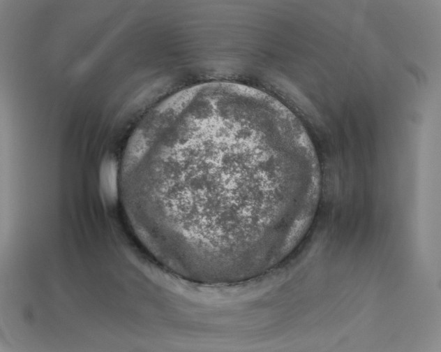 X0000113310022200910051114