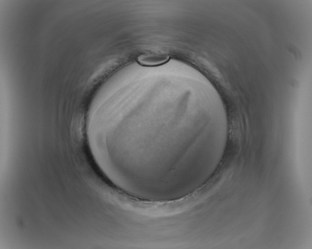 X0000113310023200910051114