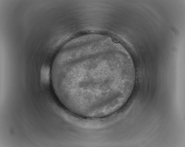 X0000113310024200910051114