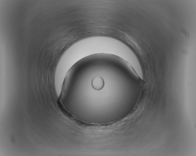 X0000113310025200910051114