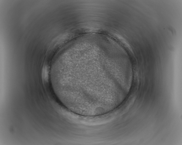 X0000113310026200910051114