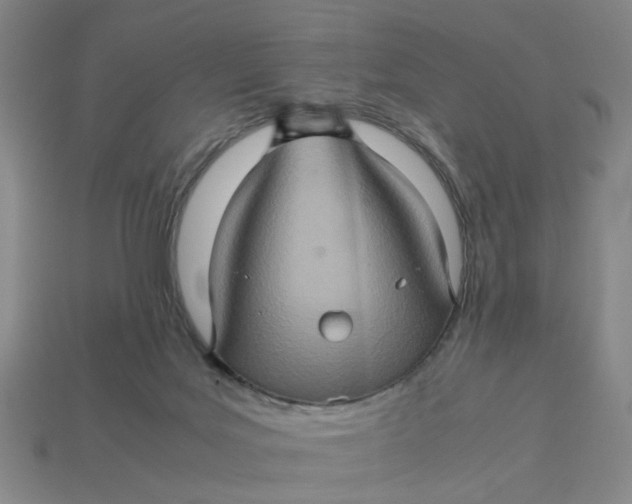 X0000113310027200910051114