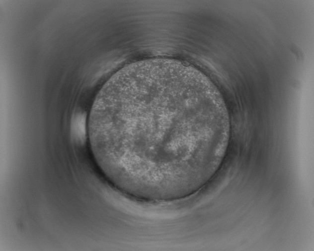 X0000113310028200910051114