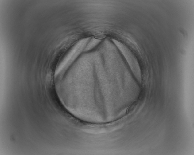 X0000113310029200910051114