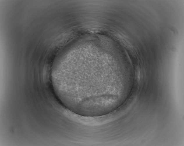 X0000113310030200910051114