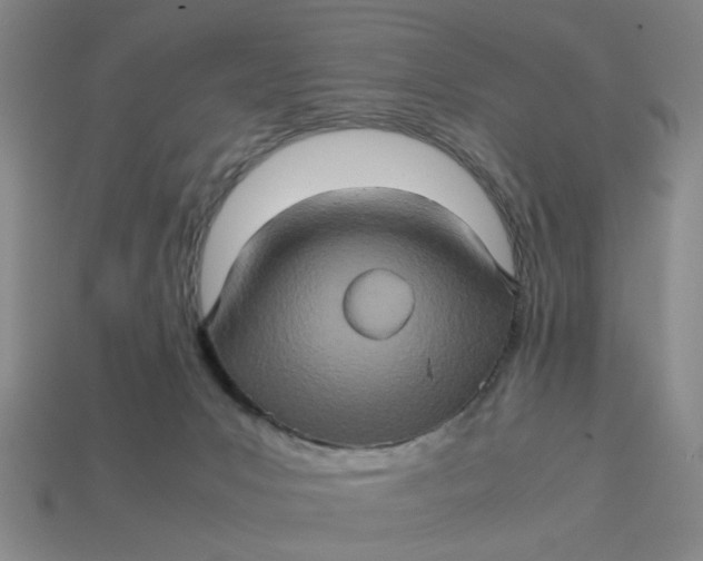 X0000113310031200910051113