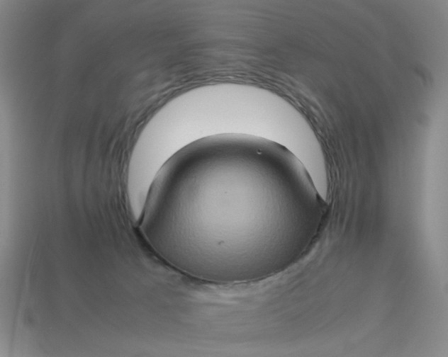 X0000113310033200910051113