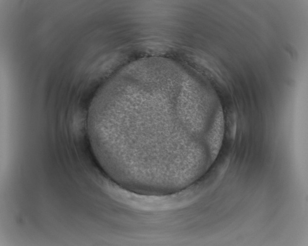 X0000113310034200910051113