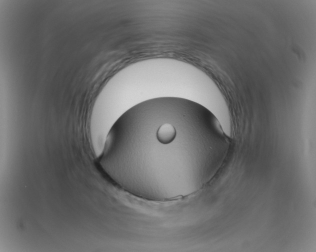 X0000113310035200910051113