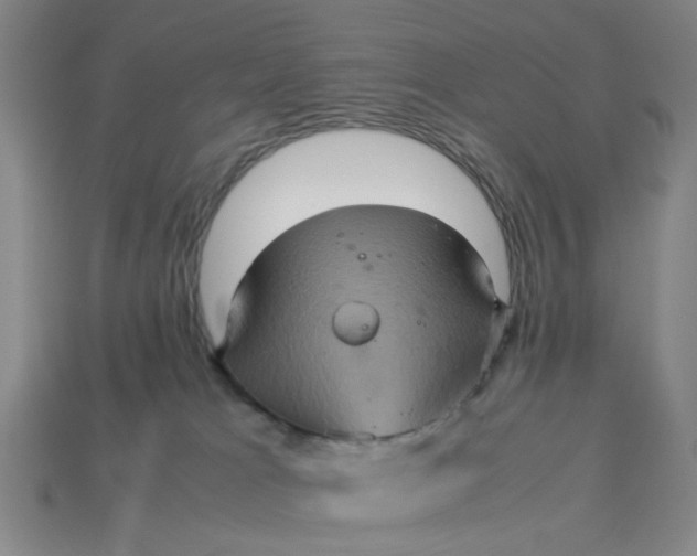 X0000113310037200910051113