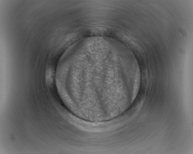 X0000113310038200910051113