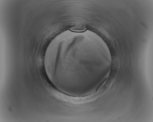 X0000113310039200910051113