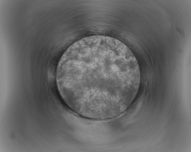 X0000113310040200910051113