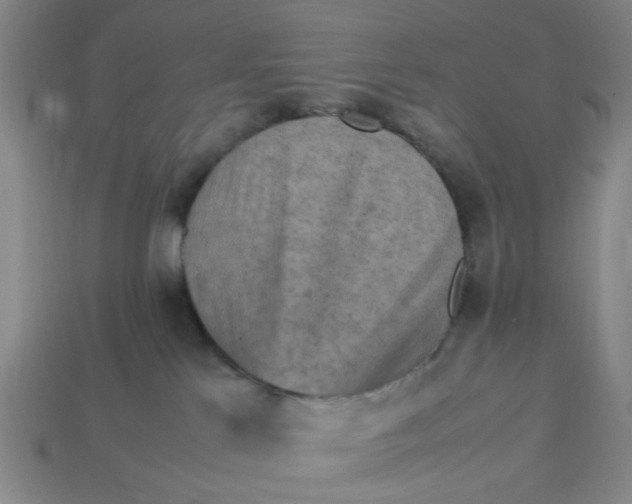 X0000113310041200910051113