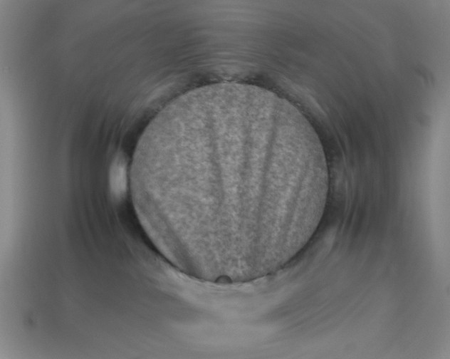 X0000113310042200910051113