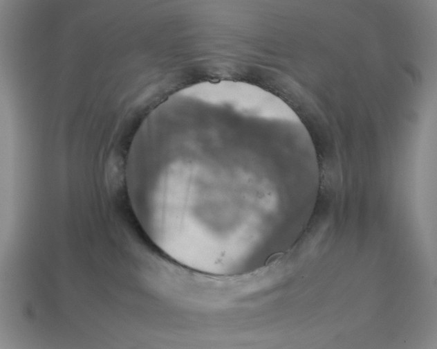 X0000113310043200910051113