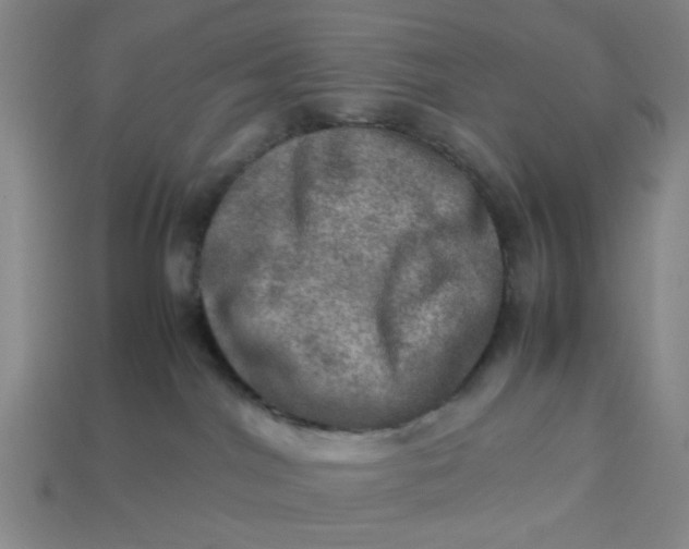 X0000113310044200910051113