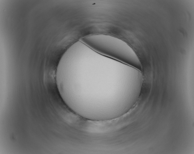 X0000113310045200910051113