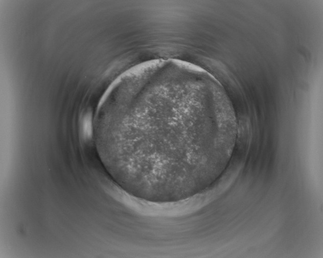 X0000113310046200910051113