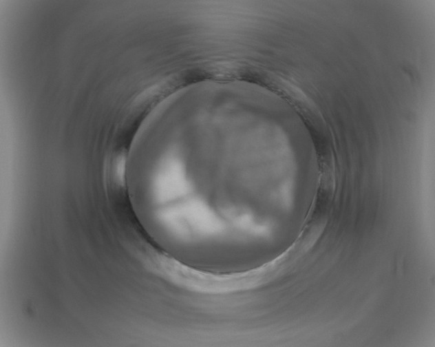 X0000113310047200910051113