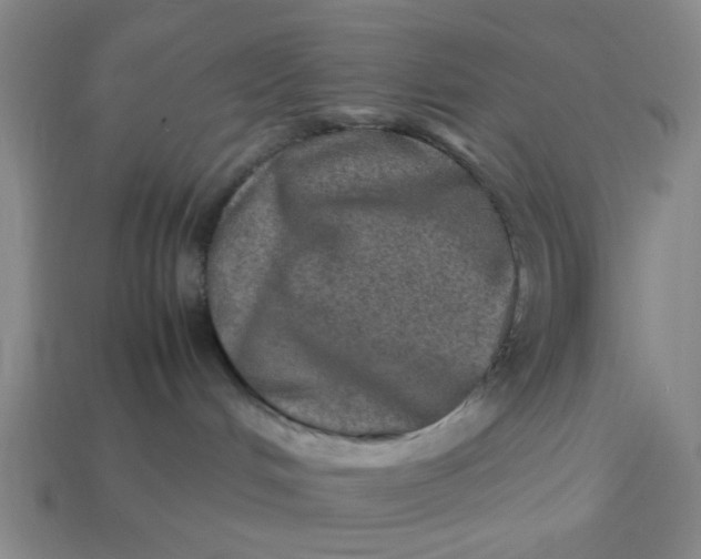 X0000113310048200910051113