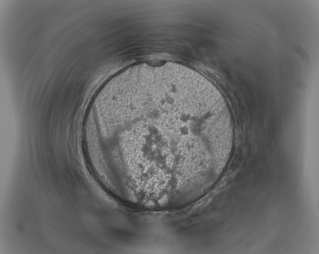 X0000113310049200910051113