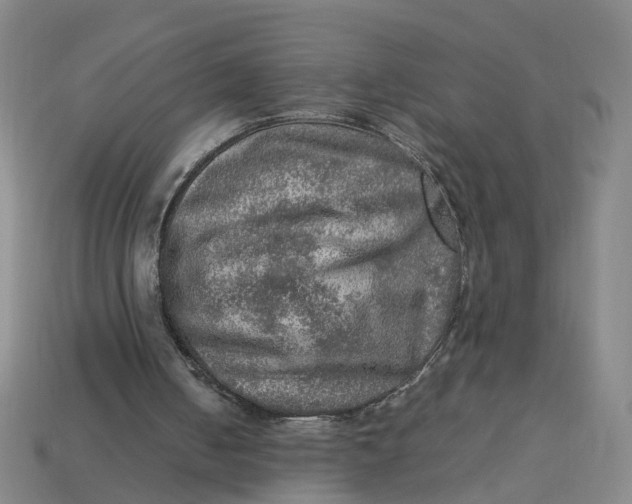 X0000113310050200910051113