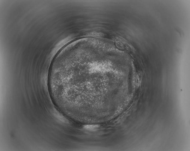 X0000113310051200910051113