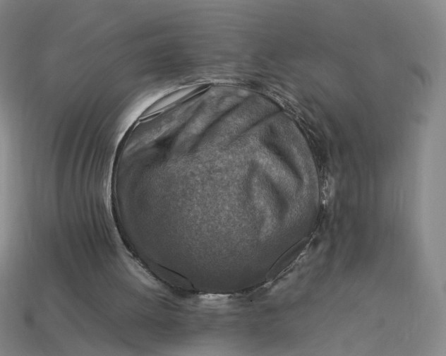 X0000113310052200910051113