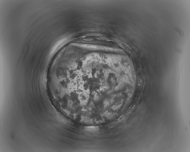 X0000113310053200910051113