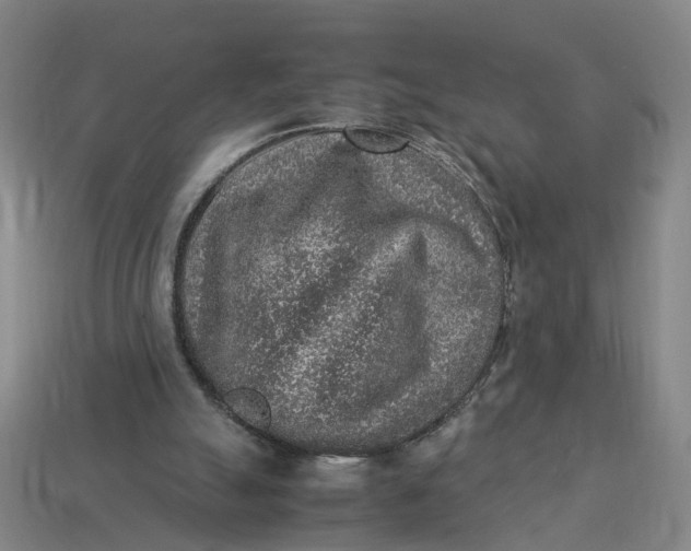 X0000113310055200910051113