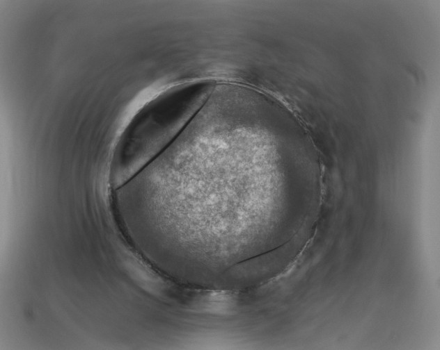 X0000113310056200910051113