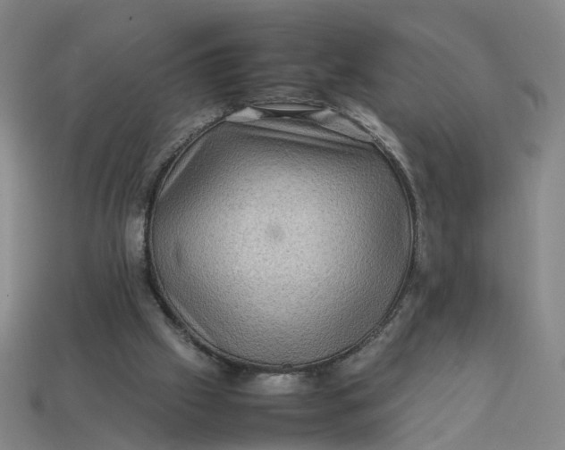 X0000113310057200910051113