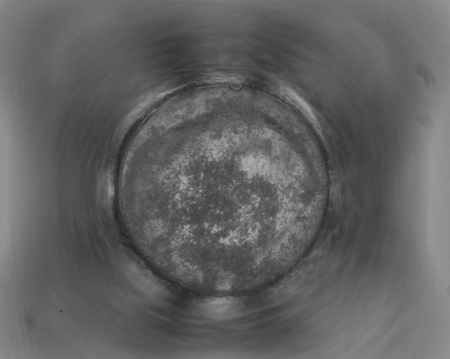 X0000113310059200910051113