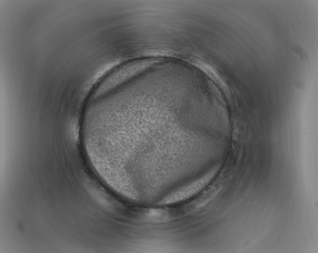 X0000113310060200910051113