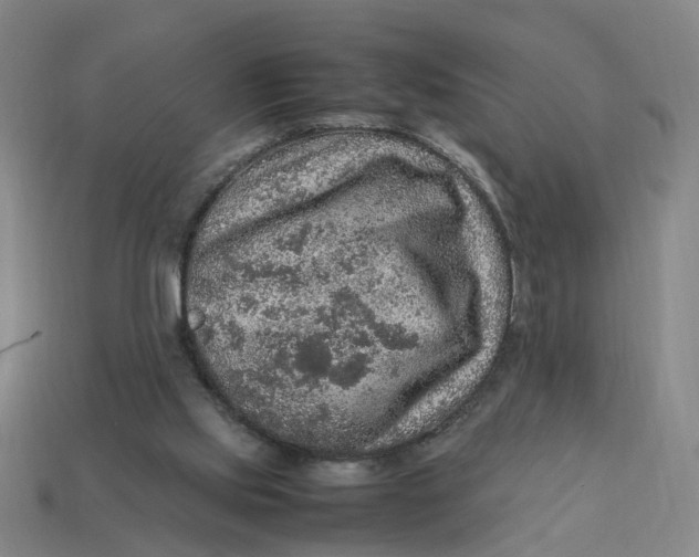 X0000113310061200910051113