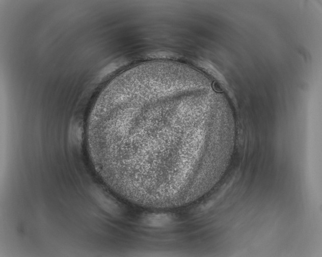 X0000113310063200910051113