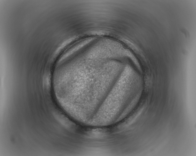 X0000113310064200910051113