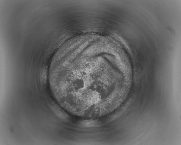 X0000113310065200910051113