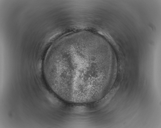 X0000113310066200910051113