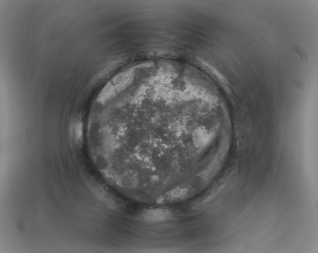 X0000113310067200910051113