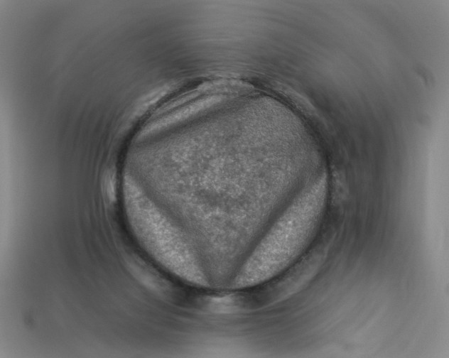 X0000113310068200910051113