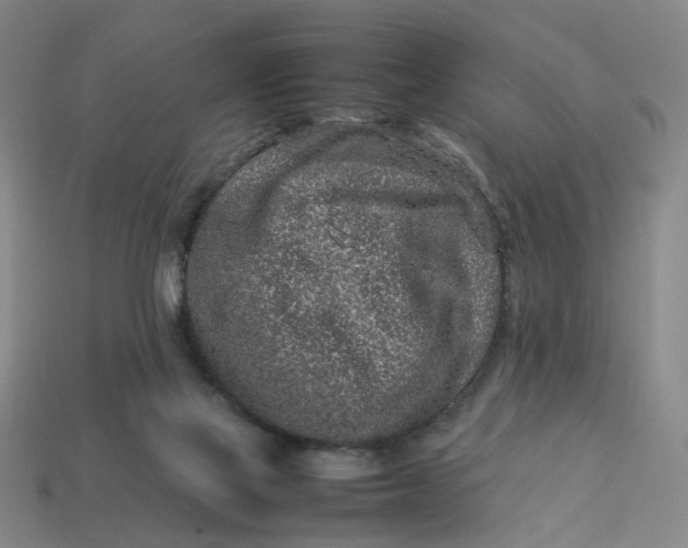 X0000113310069200910051113