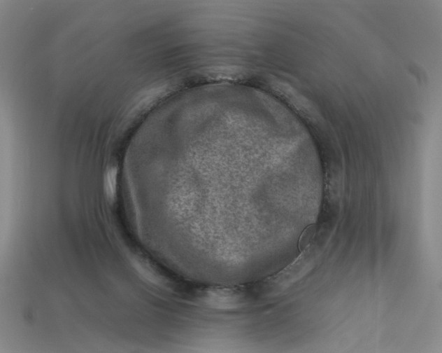 X0000113310070200910051113