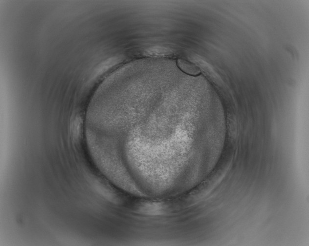 X0000113310071200910051113