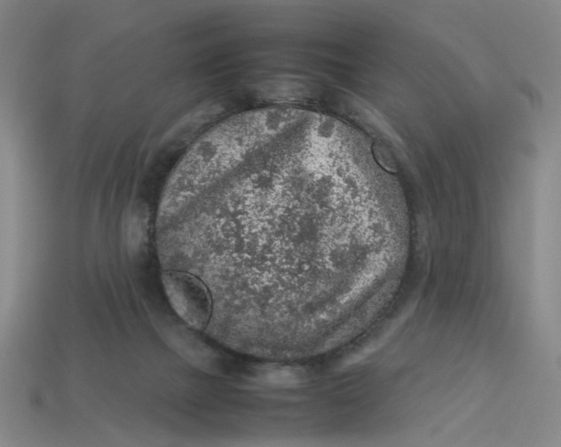 X0000113310073200910051113