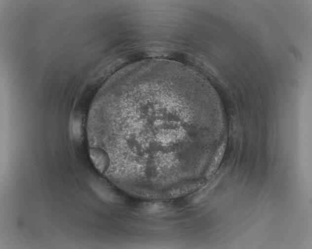 X0000113310074200910051113